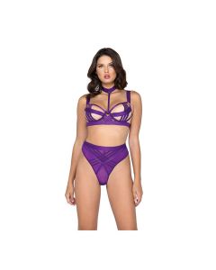 Bondage Stripe Demi Cup Underwire Bra & Panty Purple